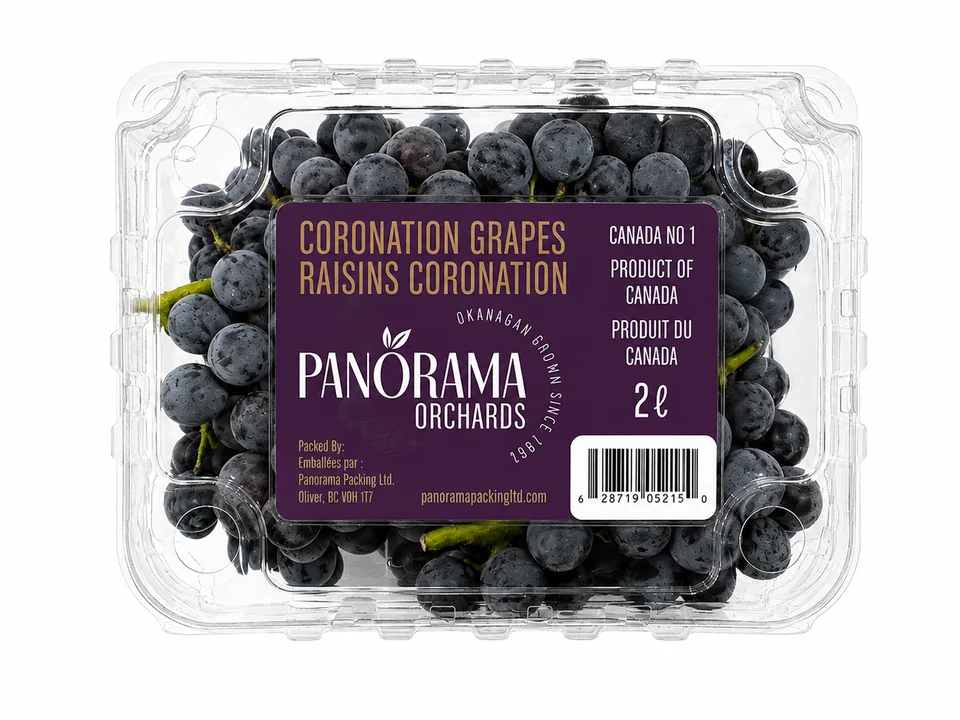 Panorama Orchards Coronation grapes in a two-litre clamshell